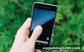 体育博彩风险下博狗平台银行卡出款申请完整指南