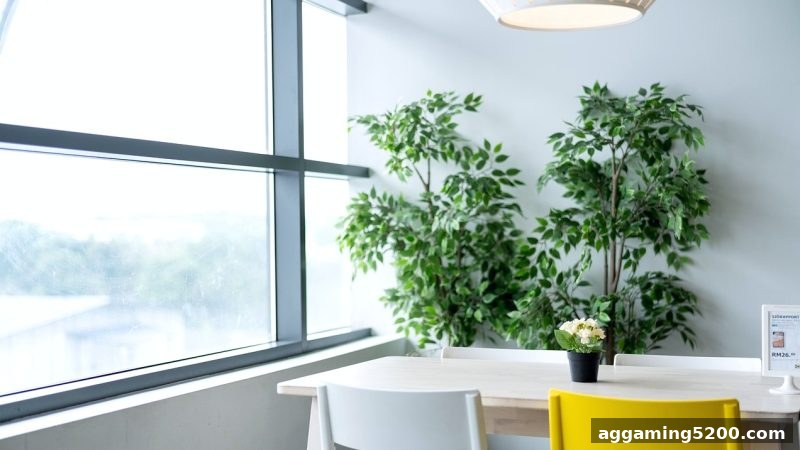 体育博彩风险视角下的桌游情绪管理：如何避免冲动决策