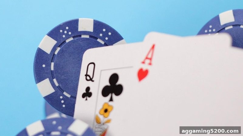 桌游制胜之道：策略、心理与体育博彩风险下的理性博弈