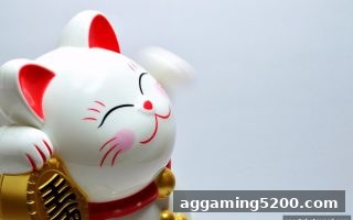 体育博彩风险下的数字与赛事：六合彩号码推荐和NBA比分直播的理性审视