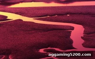 体育博彩风险下的频次分析与逆转策略：理性玩法与数据思维