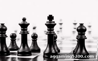 体育博彩风险不可忽视：BBIN真人炸金花快速决策与快捷支付实战指南