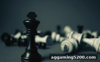 体育博彩风险下的掼蛋手牌管理：从概率思维到策略优化