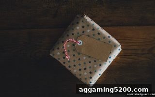 体育博彩风险须知：MG电子签到返利活动操作指南与安全提醒
