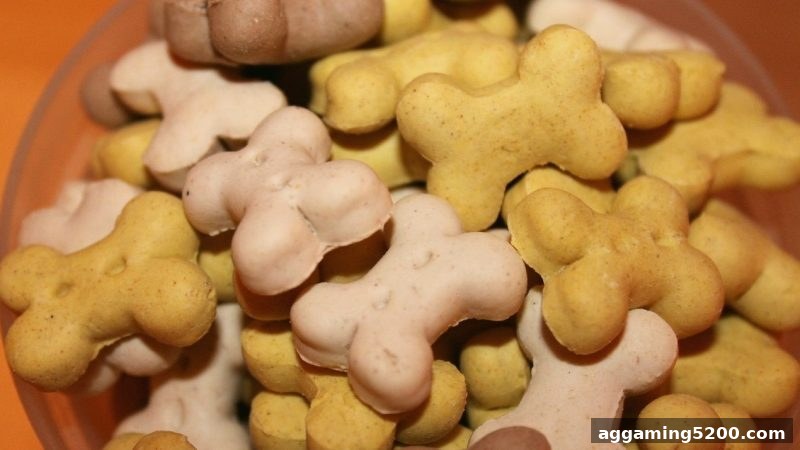 体育博彩风险下，番摊洗码返佣政策全解析