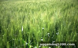 深度解析：银行卡充值送大礼包及TRC20入金策略——体育博彩风险下的安全指南
