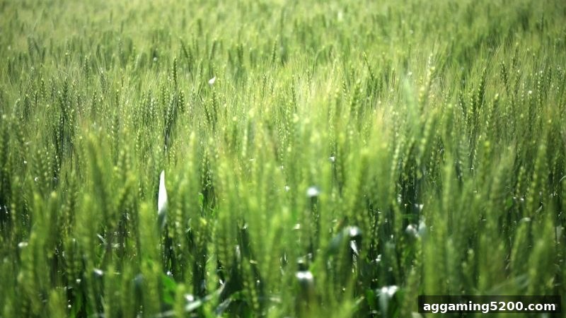 深度解析：银行卡充值送大礼包及TRC20入金策略——体育博彩风险下的安全指南