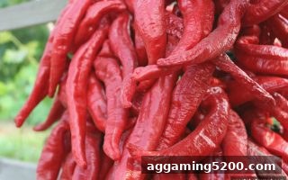 签到活动福利深度解读：在体育博彩风险中锁定稳健收益
