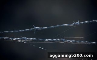 体育博彩风险下，在线平台安全认证与防护全攻略
