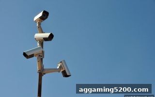 体育博彩风险警示：从用户反馈透视平台运营困境与退出前兆