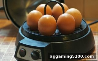 体育博彩风险下，免费旋转价值评估与对冲策略实操指南